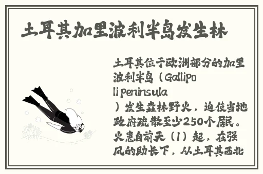 抓住貂蝉的两只大球球主题曲